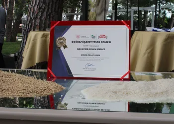 Gönen Baldo Pirincine coğrafi işaret