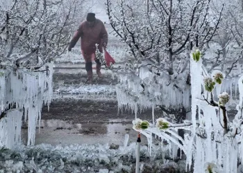 Zirai Don Araştırma Komisyonu toplanıyor