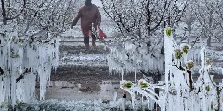 Zirai Don Araştırma Komisyonu toplanıyor