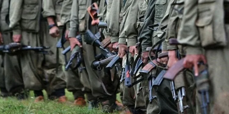 Silah bırakana 2 yönlü süreç: 300’ü Türkiye’ye gelemeyecek