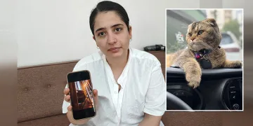 Evliliğinin kaderi kediye bağlı