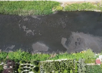 Yalova’da kanalizasyon suyu denize aktı