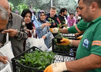 Yıldırım Belediyesi’nden 50 bin fide