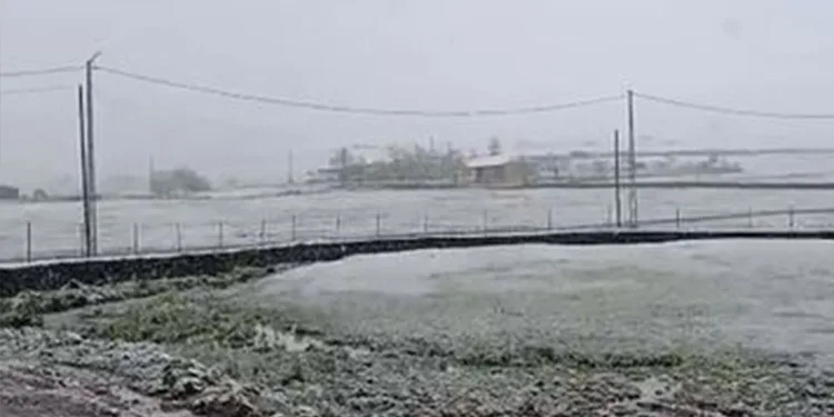 Ardahan’da mayıs ayında kar sürprizi