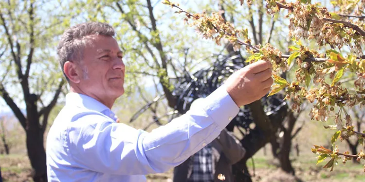 “Tarlaya borç ektirdi, enkaz biçtiriyor”