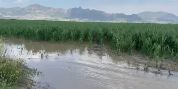Adana’da şiddetli yağmur ve dolu, tarım ürünlerine zarar verdi