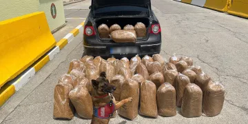 Mersin’de kaçak tütün ve makaron operasyonu: 4 gözaltı