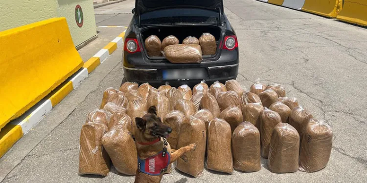 Mersin’de kaçak tütün ve makaron operasyonu: 4 gözaltı