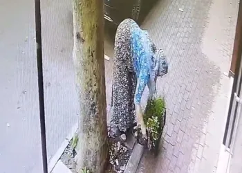 Bursa’da dükkanının önüne koyduğu çiçekleri çalındı