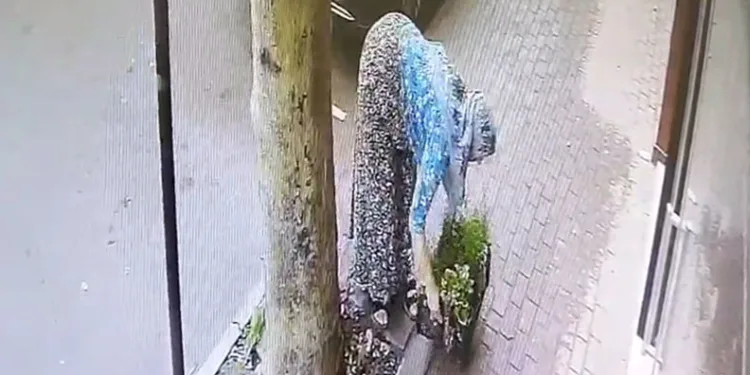 Bursa’da dükkanının önüne koyduğu çiçekleri çalındı