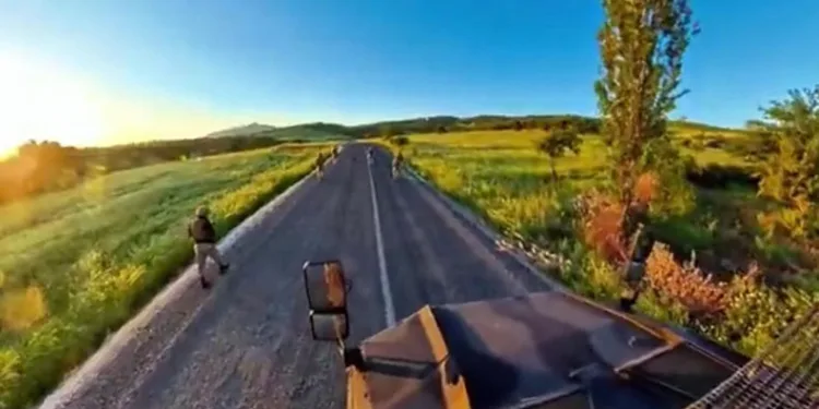 Milyonlarca yasaklı bitki ele geçirildi
