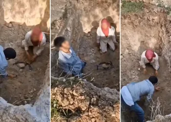 Bursa’da ölen köpekleri mezardan çıkarmaya çalıştılar