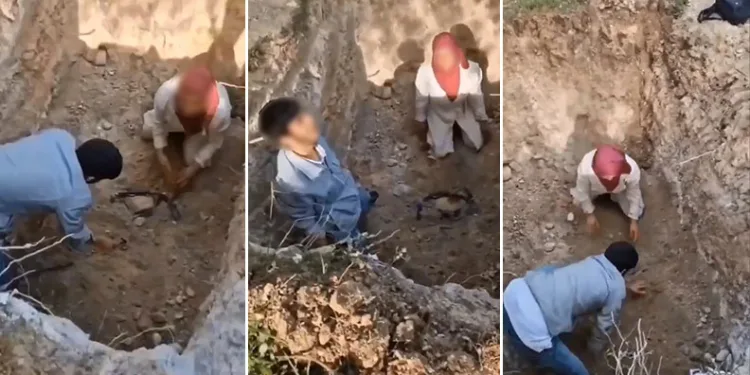 Bursa’da ölen köpekleri mezardan çıkarmaya çalıştılar