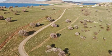 Elazığ’da larva ile mücadele çalışmaları sürüyor