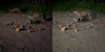 Bugün bazı yollar trafiğe kapatılacak
