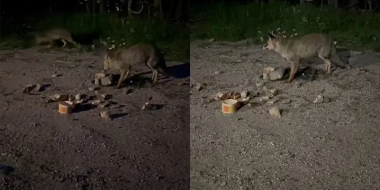 Bugün bazı yollar trafiğe kapatılacak