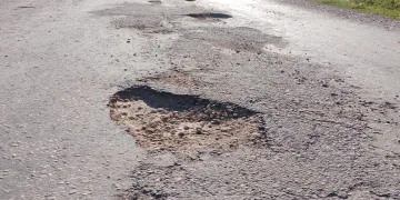 Sivas’ta nesli tehdit altındaki su samuru görüntülendi