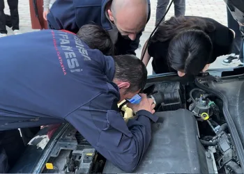 Bursa’da otomobilin motoruna giren kedi ter döktürdü