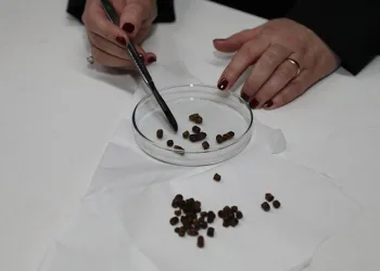 BTÜ’nün tıbbi buluşuna uluslararası patent