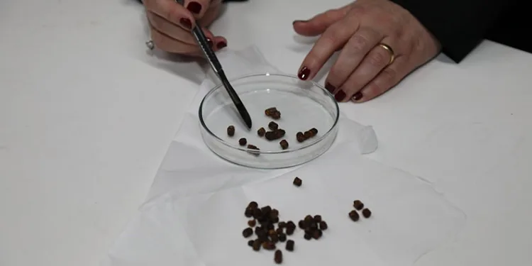 BTÜ’nün tıbbi buluşuna uluslararası patent