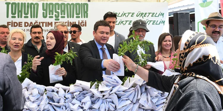Osmangazi Belediyesi’nden ücretsiz fide dağıtımı