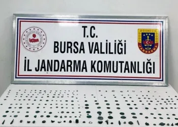 Jandarmadan tarihi eser operasyonu: 1 tutuklama