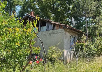 Bursa’da üzüm yaprağı toplarken çatıdan düştü