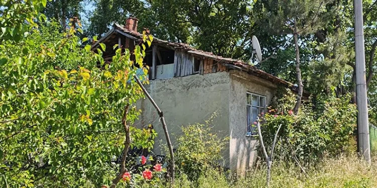 Bursa’da üzüm yaprağı toplarken çatıdan düştü