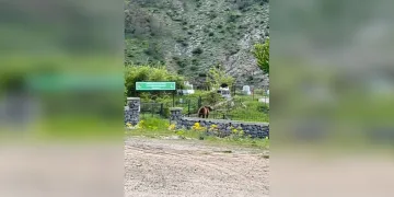 Malatya’da depremin izleri dağ oldu