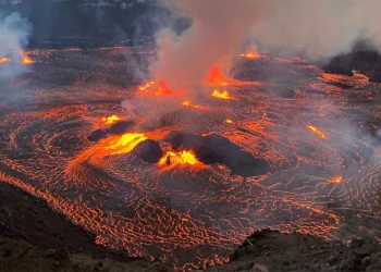 Tayland’da bir evin tuvaletinden dev piton çıktı