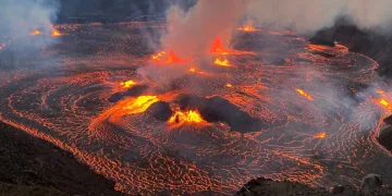 Tayland’da bir evin tuvaletinden dev piton çıktı