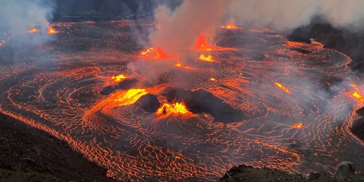 Tayland’da bir evin tuvaletinden dev piton çıktı