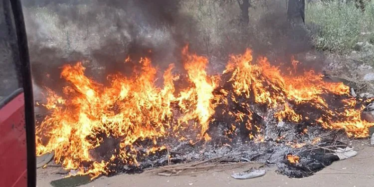 Doğa yürüyüşünde kaybolan Çevre ve Şehircilik İl Müdür Yardımcısını arama çalışmalarına 100 kişilik ekip sevk edildi