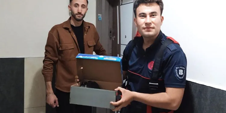 İtfaiye erleri kurtardıkları karga yavrularını elleriyle besledi