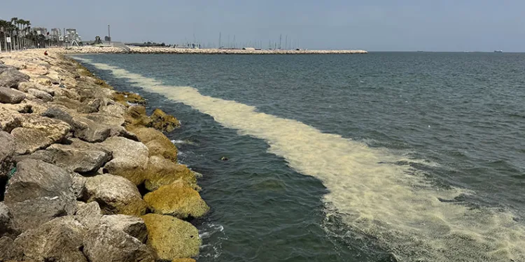 Mersin Körfezi’nde ‘alg patlaması ve müsilaj kalıntıları’