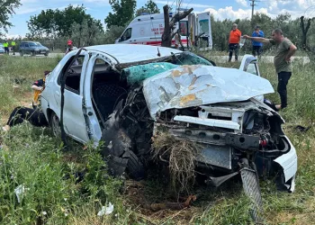 Bursa’da otomobil zeytinliğe uçtu