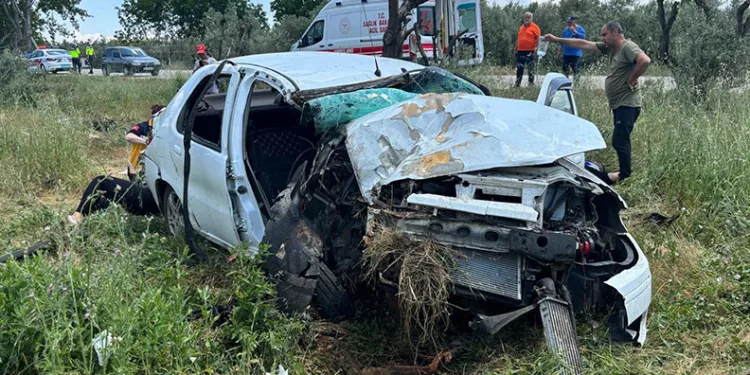 Bursa’da otomobil zeytinliğe uçtu