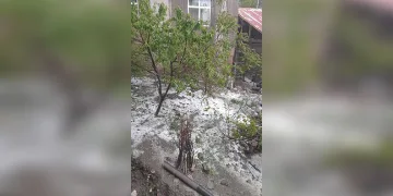 Türkiye’de artan dağ kazaları endişelendiriyor