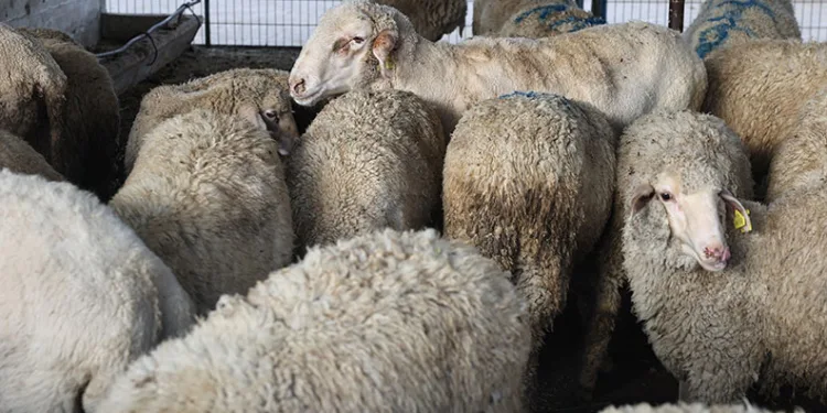 Bursa’da sıcaklık rekorları kırılabilir
