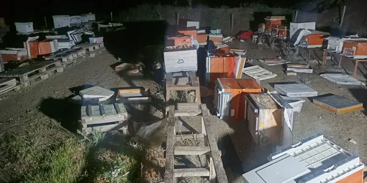 Kapıkule’de 13 kilo skunk ele geçirildi