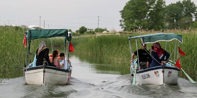 “Küçük Venedik”in kayıkçı kadınları Uluabat Gölü’nde turist gezdiriyor