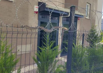 Bursa’da tellere dolanan 1,5 metre boyundaki yılan korkuttu