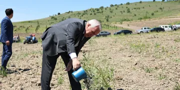 Nilüfer Belediyesi Konaklı’ya 800 zeytin fidanı dikti