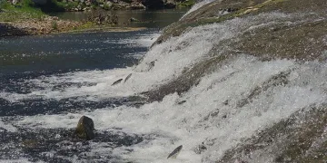 Elazığ’da larva ile mücadele çalışmaları sürüyor