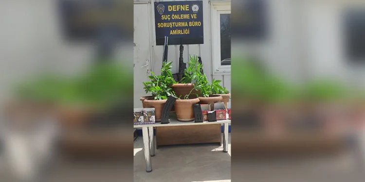 Mantar toplarken yabani hayvan sandığı arkadaşını av tüfeğiyle vurdu