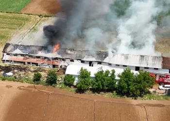 Bursa Yenişehir’de hayvan çiftliğinde büyük yangın