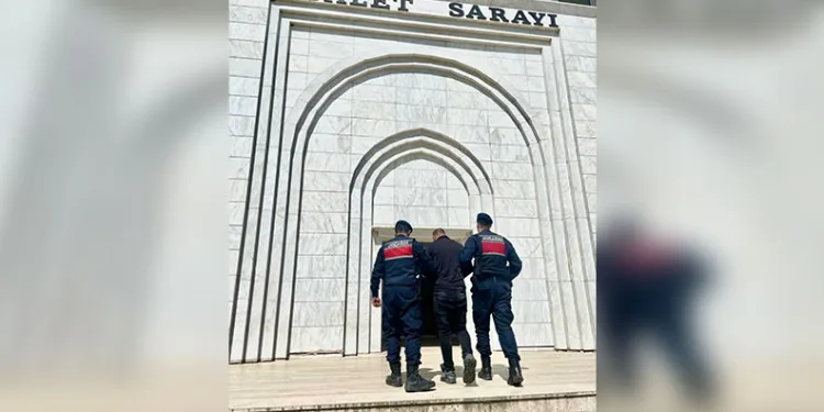 Çalınan 4 büyükbaş hayvan sahibine teslim edildi