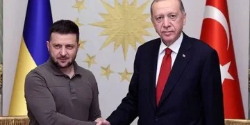 Cumhurbaşkanı Erdoğan, Zelenski ile görüştü