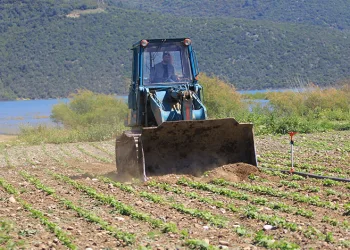 DSİ göl havzasındaki ekili arazileri iş makinesi ile düzledi