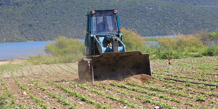 DSİ göl havzasındaki ekili arazileri iş makinesi ile düzledi